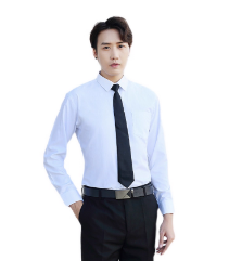 短袖衬衫女夏季白衬衫OL职业装修身商务正装面试工作服装打底衬